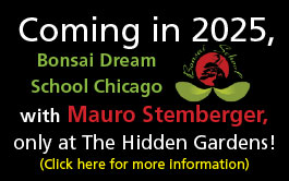 Bonsai Dream School Chicago